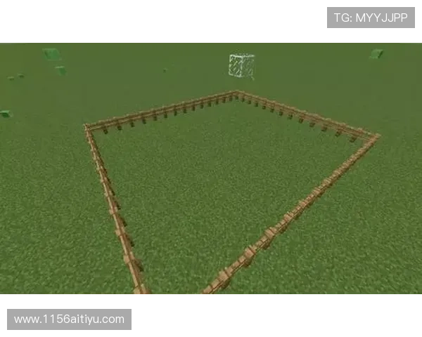 探索mc彩票官方网站：安全购彩与精彩活动全解析